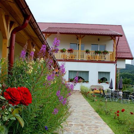 Pensiunea Poezii Alese Valea Draganului Bagian luar foto