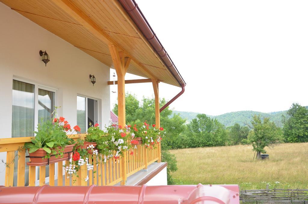 Pensiunea Poezii Alese Valea Draganului Bagian luar foto