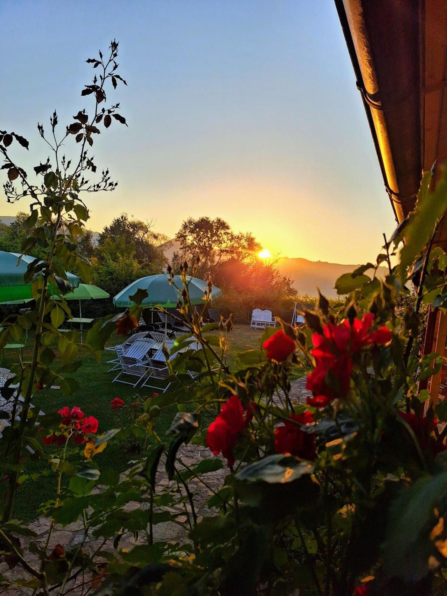 Pensiunea Poezii Alese Valea Draganului Bagian luar foto