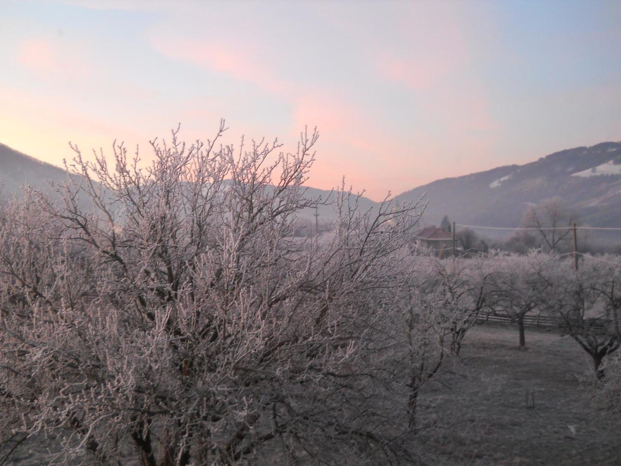 Pensiunea Poezii Alese Valea Draganului Bagian luar foto